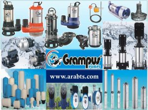 arabian-home-pumps-photo-1-300x223